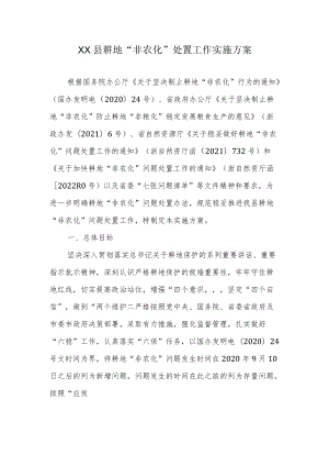 2022XX县耕地“非农化”处置工作实施方案.docx