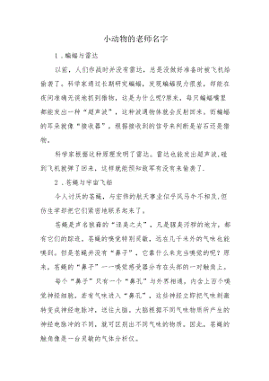 小动物的老师名字.docx