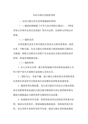 农村公路应急抢险预案.docx