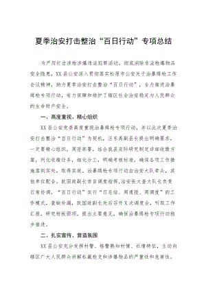 {精品}夏季治安打击整治百日行动工作总结.docx