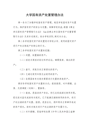 大学国有资产处置管理办法.docx