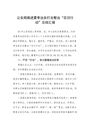 夏季治安打击整治百日行动工作报告.docx