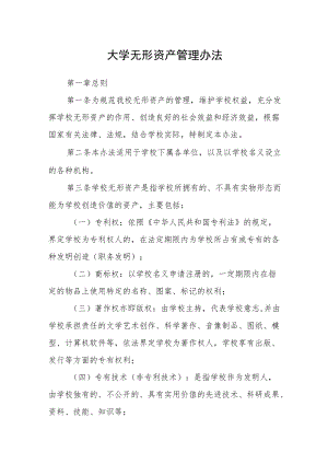 大学无形资产管理办法.docx
