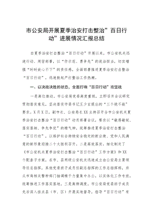 夏季治安打击整治百日行动工作报告 (最新).docx