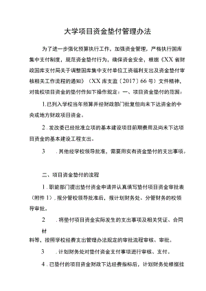 大学项目资金垫付管理办法模板.docx