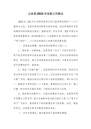 公安局2023年党委工作要点.docx