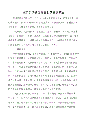 挂职乡镇党委委员收获感想范文工作感悟心得体会启示发言材料工作汇报总结报告挂职干部个人述职报告.docx
