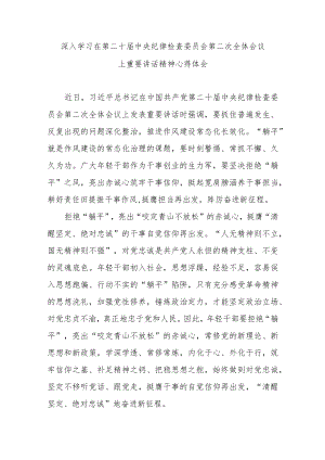 深入学习在第二十届中央纪律检查委员会第二次全体会议上重要讲话精神心得体会3篇.docx