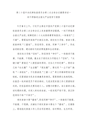 第二十届中央纪律检查委员会第二次全体会议重要讲话一刻不停推进全面从严治党学习感悟3篇.docx