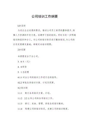 公司培训工作纲要.docx