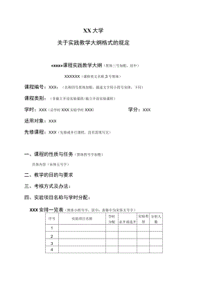 XX大学关于实践教学大纲格式的规定.docx