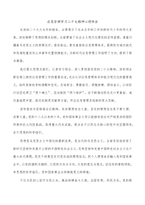 应急管理学习二十大精神心得体会.docx