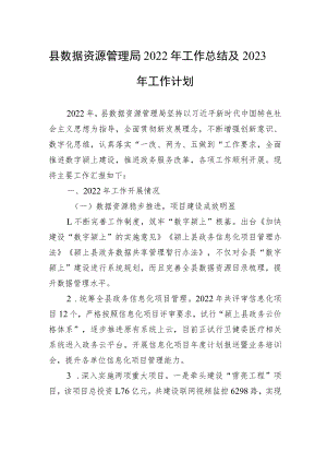 县数据资源管理局2022年工作总结及2023年工作计划.docx