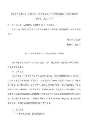 重庆市人民政府关于印发2023年全市安全生产与自然灾害防治工作要点的通知.docx