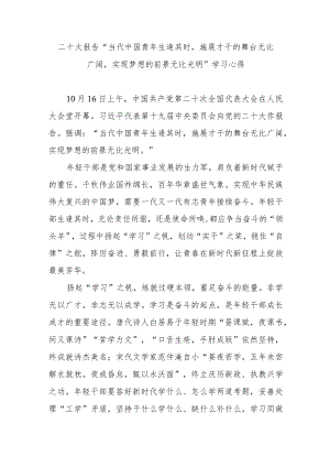 二十大报告“当代中国青年生逢其时施展才干的舞台无比广阔实现梦想的前景无比光明”学习心得3篇.docx