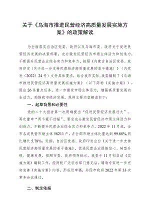 关于《乌海市推进民营经济高质量发展实施方案》的政策解读docx.docx