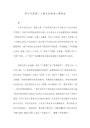 学习中纪委二十届全会讲话心得体会.docx