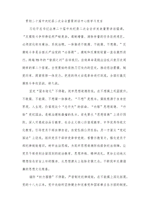 贯彻二十届中央纪委二次全会重要讲话中心组学习发言.docx