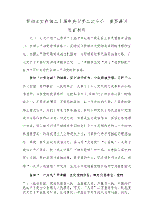贯彻落实在第二十届中央纪委二次全会上重要讲话发言材料.docx