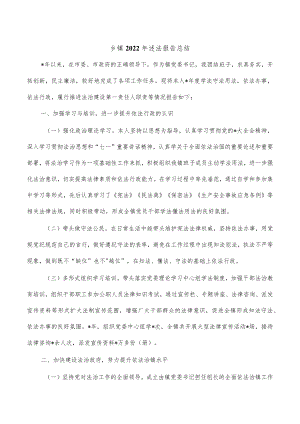 乡镇2022年述法报告总结.docx