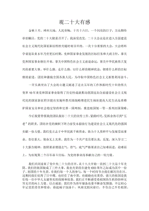 观二十大有感.docx