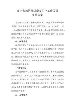 辽宁省加快推进康复医疗工作发展实施方案.docx