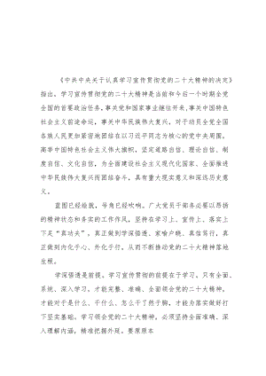 践行《中共中央关于认真学习宣传贯彻党的二十大精神的决定》心得体会2篇.docx