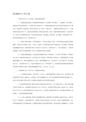 镇2022年工作汇报.docx