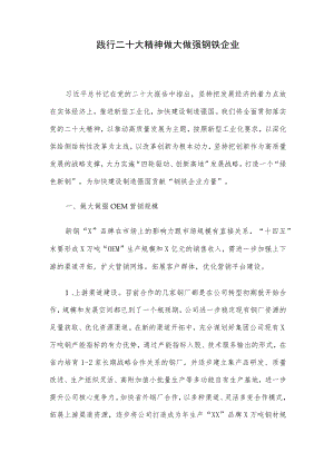 践行二十大精神 做大做强钢铁企业.docx