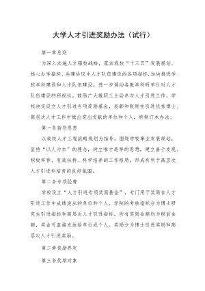 大学人才引进奖励办法（试行）.docx