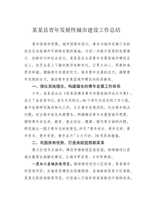 某某县青年发展性城市建设工作总结.docx