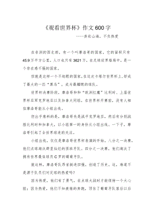 《观看世界杯》作文600字.docx