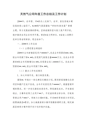 天然气公司年度工作总结及工作计划.docx