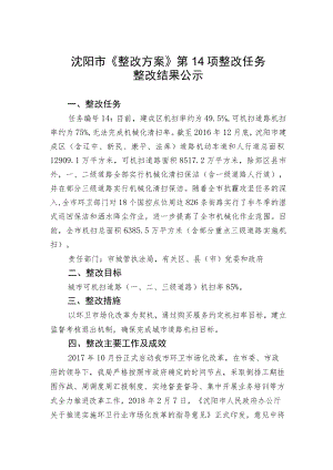 沈阳市《整改方案》第14项整改任务.docx