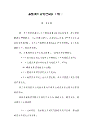 集团风险管理制度.docx