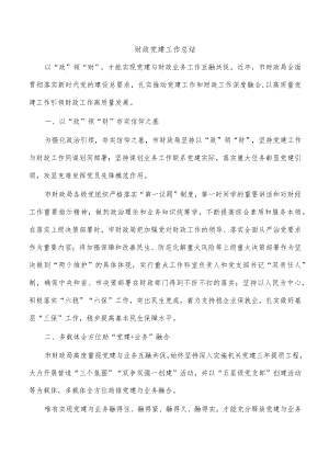 财政党建工作总结.docx