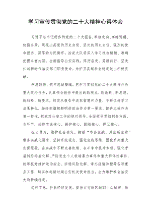 治安大队大队长学习党的二十大精神心得体会.docx