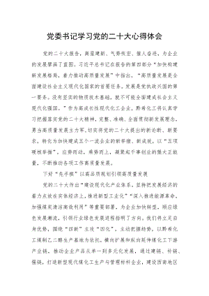 党委书记学习党的二十大心得体会.docx