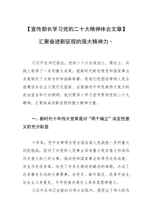 【宣传部长学习党的二十大精神体会文章】汇聚奋进新征程的强大精神力量.docx