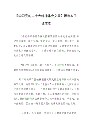 【学习党的二十大精神体会文章】担当实干抓落实.docx