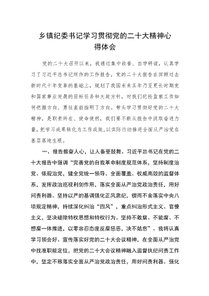 乡镇纪委书记学习贯彻党的二十大精神心得体会.docx