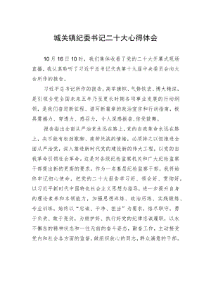 城关镇纪委书记二十大心得体会（20221018）.docx