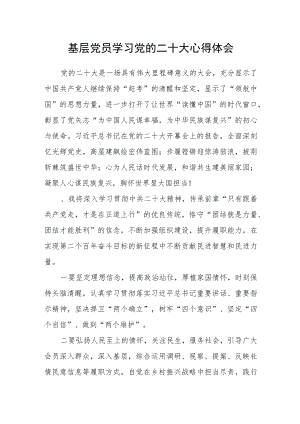 基层党员学习党的二十大心得体会.docx