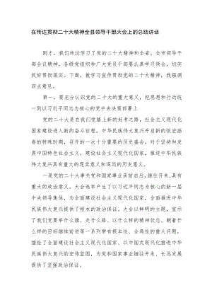 在传达贯彻二十大精神全县领导干部大会上的总结讲话.docx