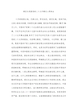 某副区长观看党的二十大开幕式心得体会.docx
