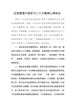应急管理干部学习二十大精神心得体会.docx