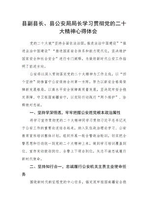 县副县长、县公安局局长学习贯彻党的二十大精神心得体会.docx