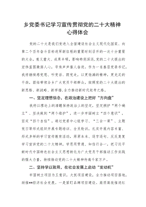 乡党委书记学习宣传贯彻党的二十大精神心得体会.docx