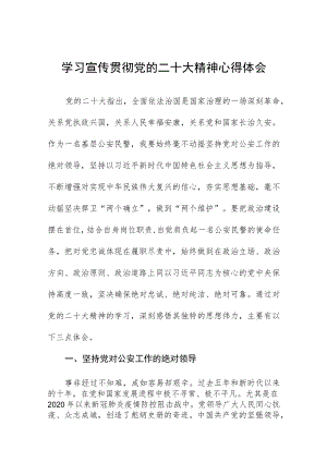 治安大队大队长学习党的二十大精神心得体会五篇例文.docx