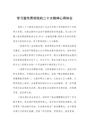 治安大队大队长学习党的二十大精神心得体会五篇.docx